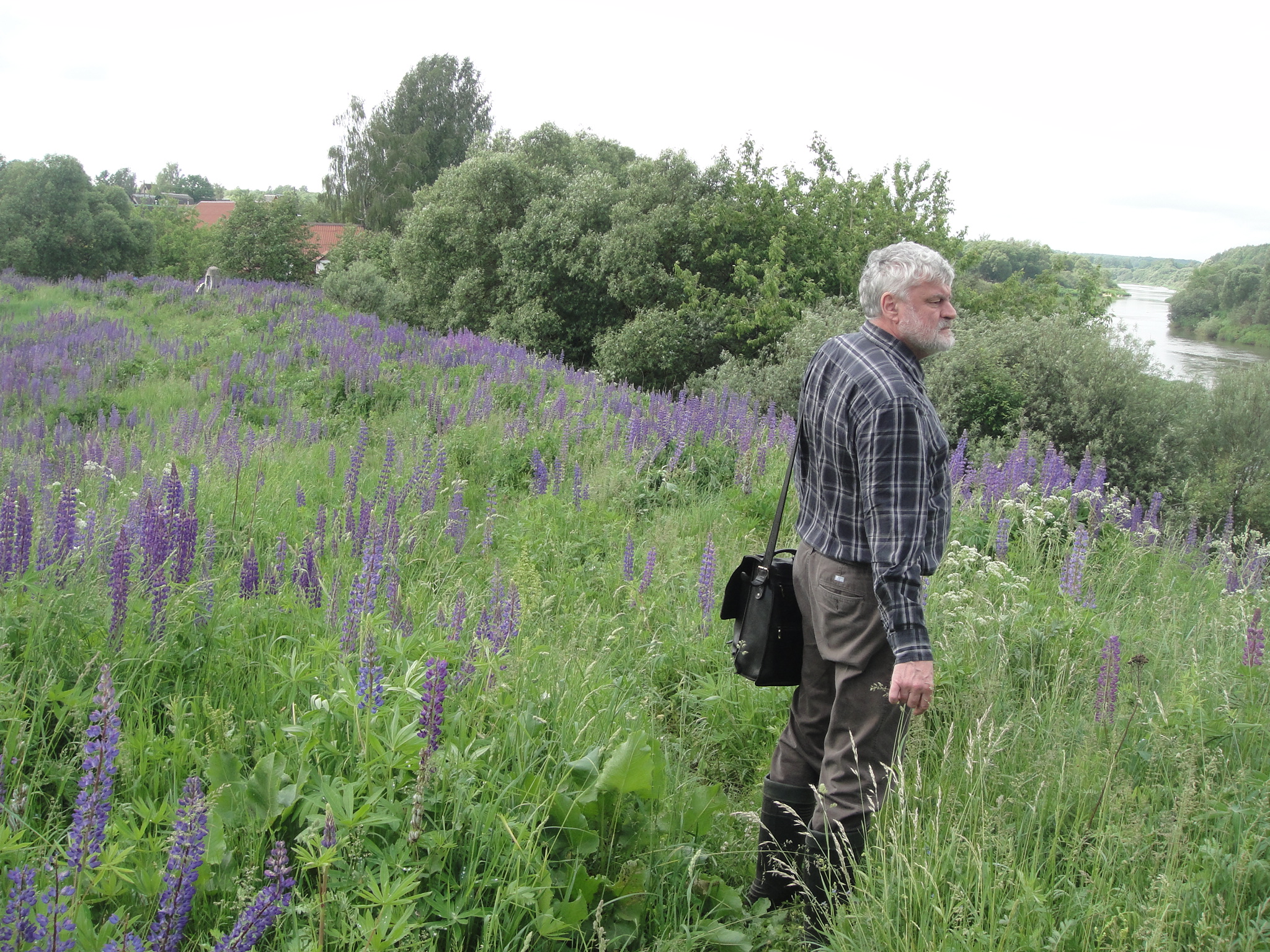 На полі Аршанскай бітвы. 2014 г.